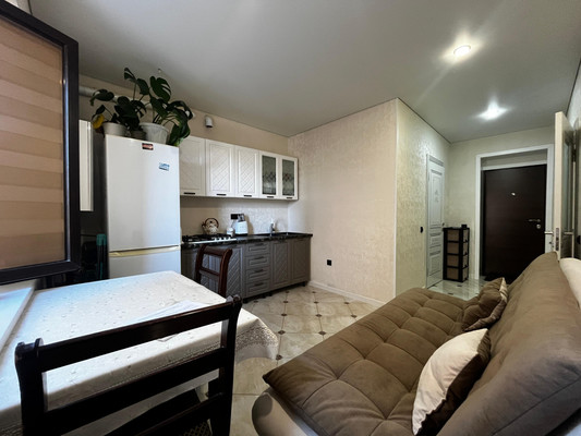 Продам однокомнатную (1-комн.) квартиру, Каменская ул, 23к3, Шалушка с