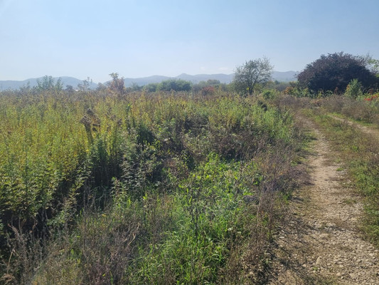 Продам участок 6,2 соток, ИЖС, ОДС ул, Нальчик г, 0 км от города