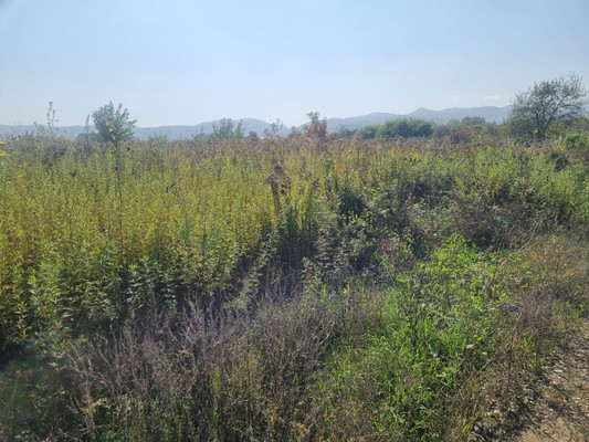 Продам участок 6,2 соток, ИЖС, ОДС ул, Нальчик г, 0 км от города