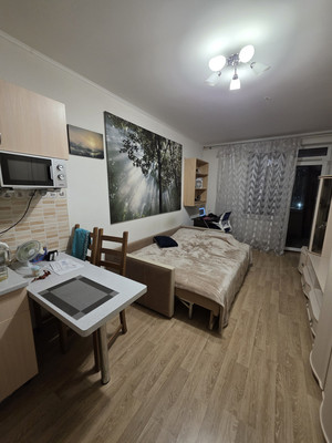 Продам однокомнатную (1-комн.) квартиру, Мебельная ул, 35Ак2, Санкт-Петербург г