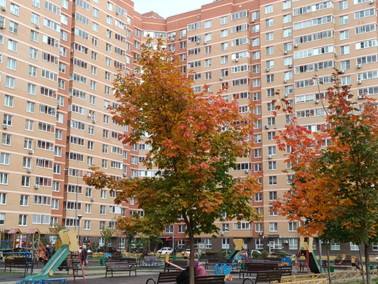 Продам двухкомнатную (2-комн.) квартиру, Троицкая ул, 3, Павлино д