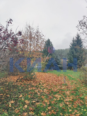 Продам дачу, Лесная ул, Усть-Мана п, 0 км от города