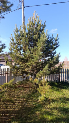 Продам коттедж, Балтийская ул, 15, Сухая Балка п, 0 км от города