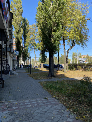 Сдам коммерческое помещение 82 м2, Ворошилова ул, 21, Воронеж г