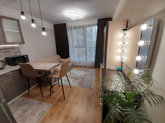 Продам однокомнатную (1-комн.) квартиру, Толубеевский проезд, 8к2, Парголово п