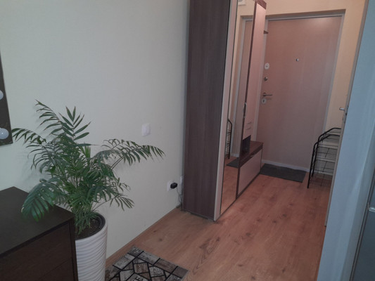 Продам однокомнатную (1-комн.) квартиру, Толубеевский проезд, 8к2, Парголово п