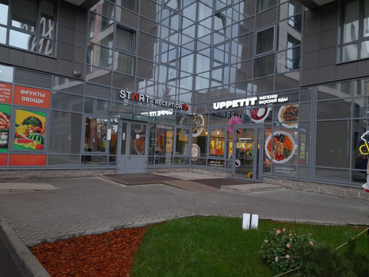 Продам однокомнатную (1-комн.) квартиру, Толубеевский проезд, 8к2, Парголово п