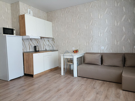 Продам однокомнатную (1-комн.) квартиру, Природная ул, 10Бк1, Знаменский п