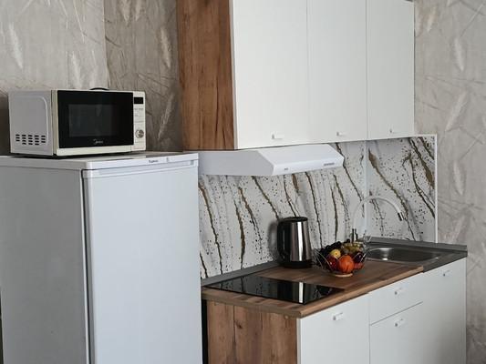 Продам однокомнатную (1-комн.) квартиру, Природная ул, 10Бк1, Знаменский п