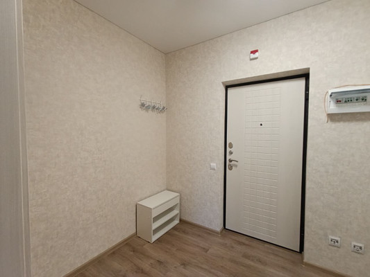 Продам однокомнатную (1-комн.) квартиру, Природная ул, 10Бк1, Знаменский п