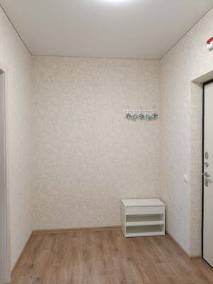 Продам однокомнатную (1-комн.) квартиру, Природная ул, 10Бк1, Знаменский п