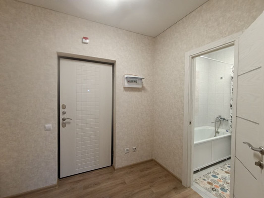 Продам однокомнатную (1-комн.) квартиру, Природная ул, 10Бк1, Знаменский п