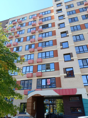 Продам однокомнатную (1-комн.) квартиру, Природная ул, 10Бк1, Знаменский п