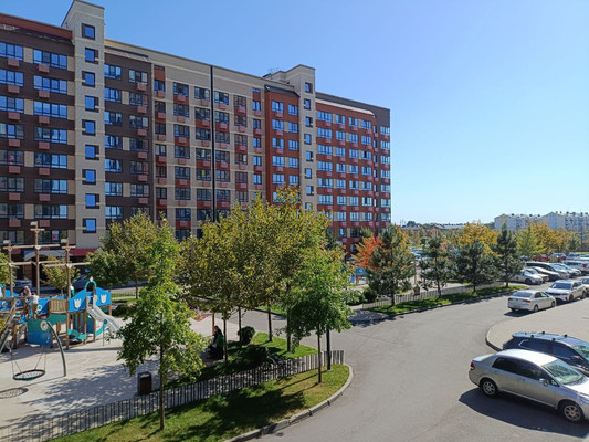 Продам однокомнатную (1-комн.) квартиру, Природная ул, 10Бк1, Знаменский п