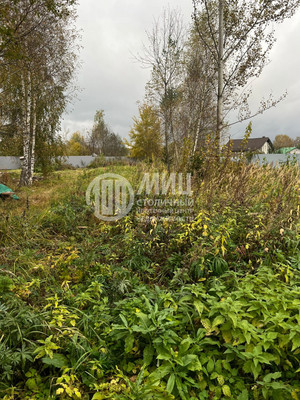 Продам участок 10,07 соток, ИЖС, Восточная ул, Лысково д, 0 км от города
