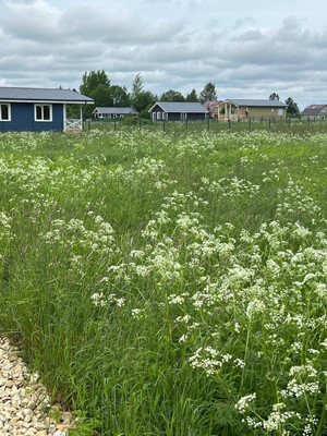 Продам участок 12,5 соток, ИЖС, Заозерье д, 0 км от города