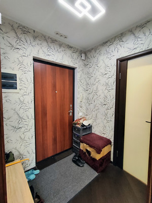 Продам однокомнатную (1-комн.) квартиру, Туристская ул, 28к1, Молодежное п