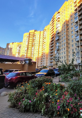 Продам однокомнатную (1-комн.) квартиру, Туристская ул, 28к1, Молодежное п