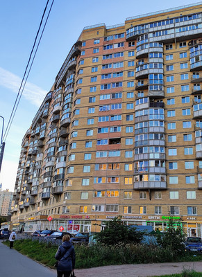 Продам однокомнатную (1-комн.) квартиру, Туристская ул, 28к1, Молодежное п