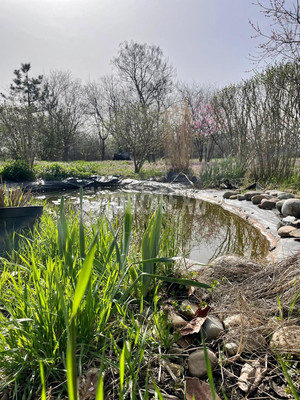 Сдам дом, Чехова ул, 18, Северская ст-ца, 0 км от города