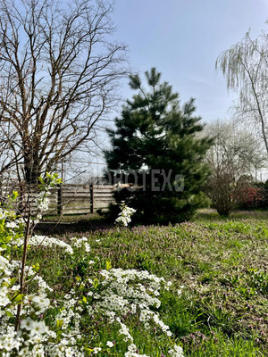 Сдам дом, Чехова ул, 18, Северская ст-ца, 0 км от города