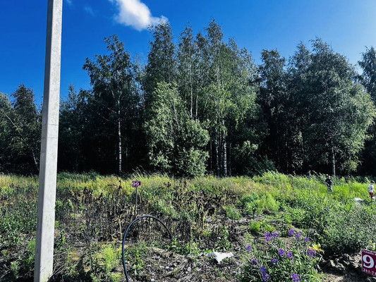 Продам участок 6,58 соток, ИЖС, Никитилово д, 0 км от города