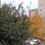 Продам трехкомнатную (3-комн.) квартиру, Чечёрский проезд, 84, Москва г