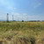 Продам участок 7 соток, ИЖС, сдт Дубки-1 тер, 988, Нальчик г, 0 км от города
