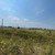 Продам участок 7 соток, ИЖС, сдт Дубки-1 тер, 988, Нальчик г, 0 км от города