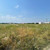 Продам участок 5 соток, ИЖС, сдт Отдых тер, Нальчик г, 0 км от города