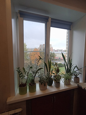 Продам однокомнатную (1-комн.) квартиру, Большая Санкт-Петербургская ул, 24, Великий Новгород г