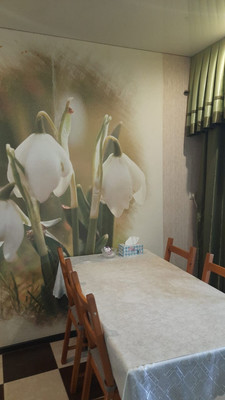 Продам двухкомнатную (2-комн.) квартиру, Смоленский пер, 11к13, Южный п