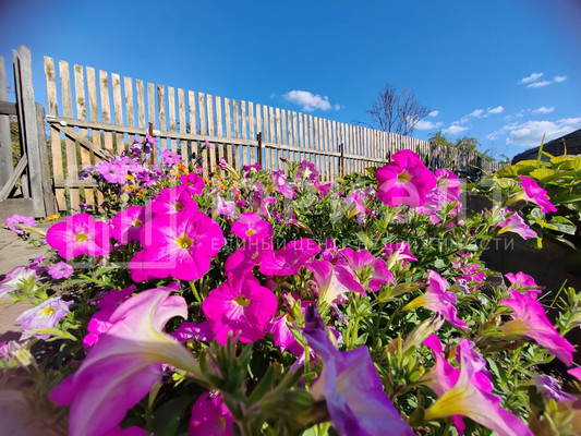 Продам участок 8,62 соток, Фермерское хоз., СНТ Цементник тер, 0 км от города