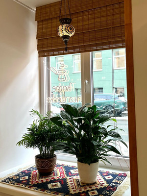 Сдам торговое помещение 77 м2, Казанская ул, 31, Санкт-Петербург г