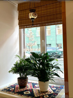 Сдам торговое помещение 77 м2, Казанская ул, 31, Санкт-Петербург г