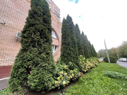 Продам трехкомнатную (3-комн.) квартиру, Подольская ул, 34, Северово д