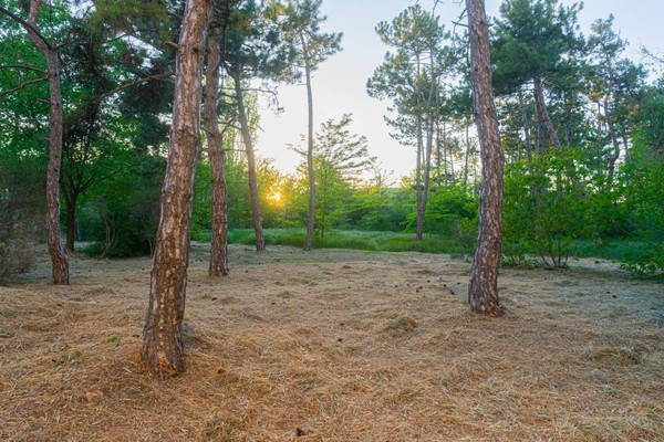 Продам двухкомнатную (2-комн.) квартиру, Спортивная ул, 12, Аграрное пгт