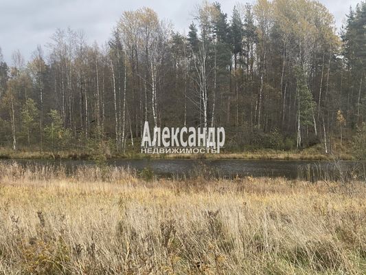 Продам участок 50 соток, ЛПХ, Шушино п, 90 км от города