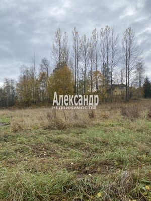 Продам участок 50 соток, ЛПХ, Шушино п, 90 км от города