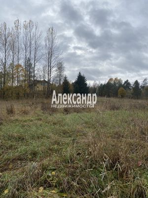 Продам участок 50 соток, ЛПХ, Шушино п, 90 км от города