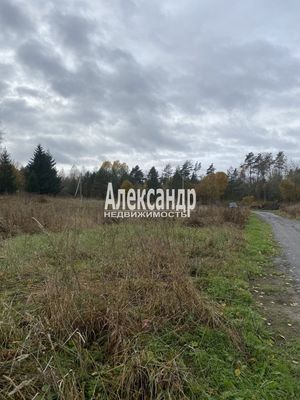 Продам участок 50 соток, ЛПХ, Шушино п, 90 км от города