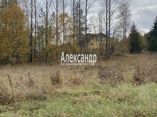 Продам участок 50 соток, ЛПХ, Шушино п, 90 км от города