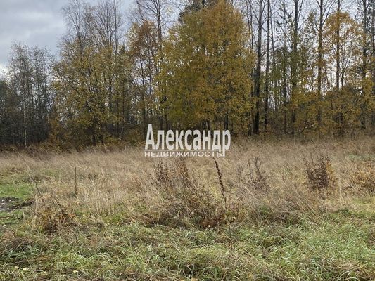 Продам участок 50 соток, ЛПХ, Шушино п, 90 км от города