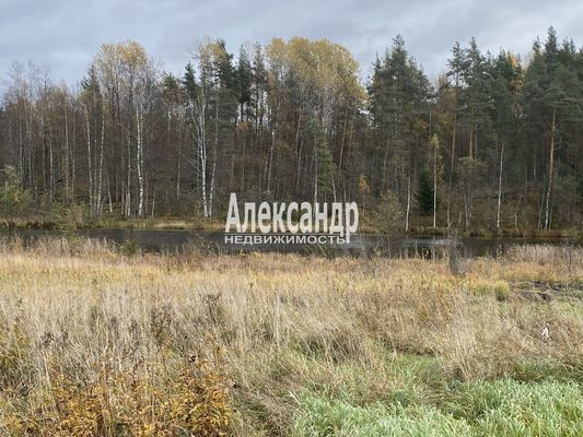 Продам участок 50 соток, ЛПХ, Шушино п, 90 км от города