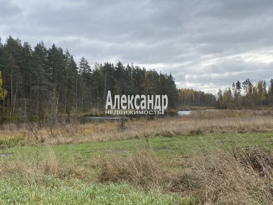 Продам участок 50 соток, ЛПХ, Шушино п, 90 км от города