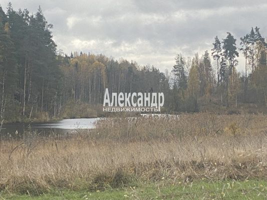 Продам участок 50 соток, ЛПХ, Шушино п, 90 км от города