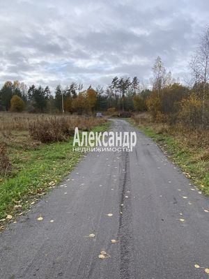 Продам участок 50 соток, ЛПХ, Шушино п, 90 км от города