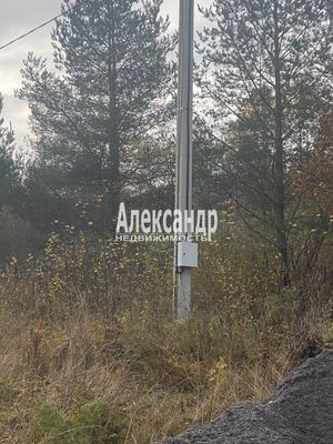 Продам участок 50 соток, ЛПХ, Шушино п, 90 км от города