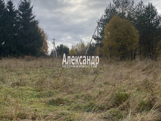 Продам участок 50 соток, ЛПХ, Шушино п, 90 км от города