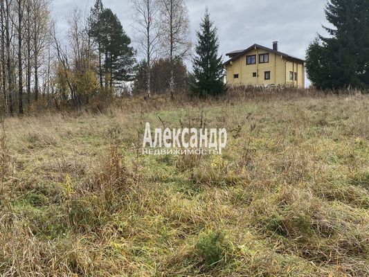 Продам участок 50 соток, ЛПХ, Шушино п, 90 км от города